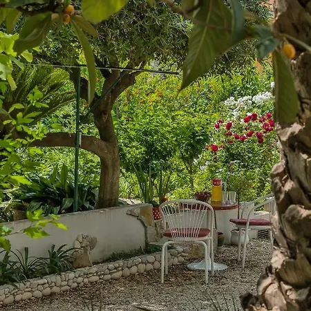 Palma Makarska